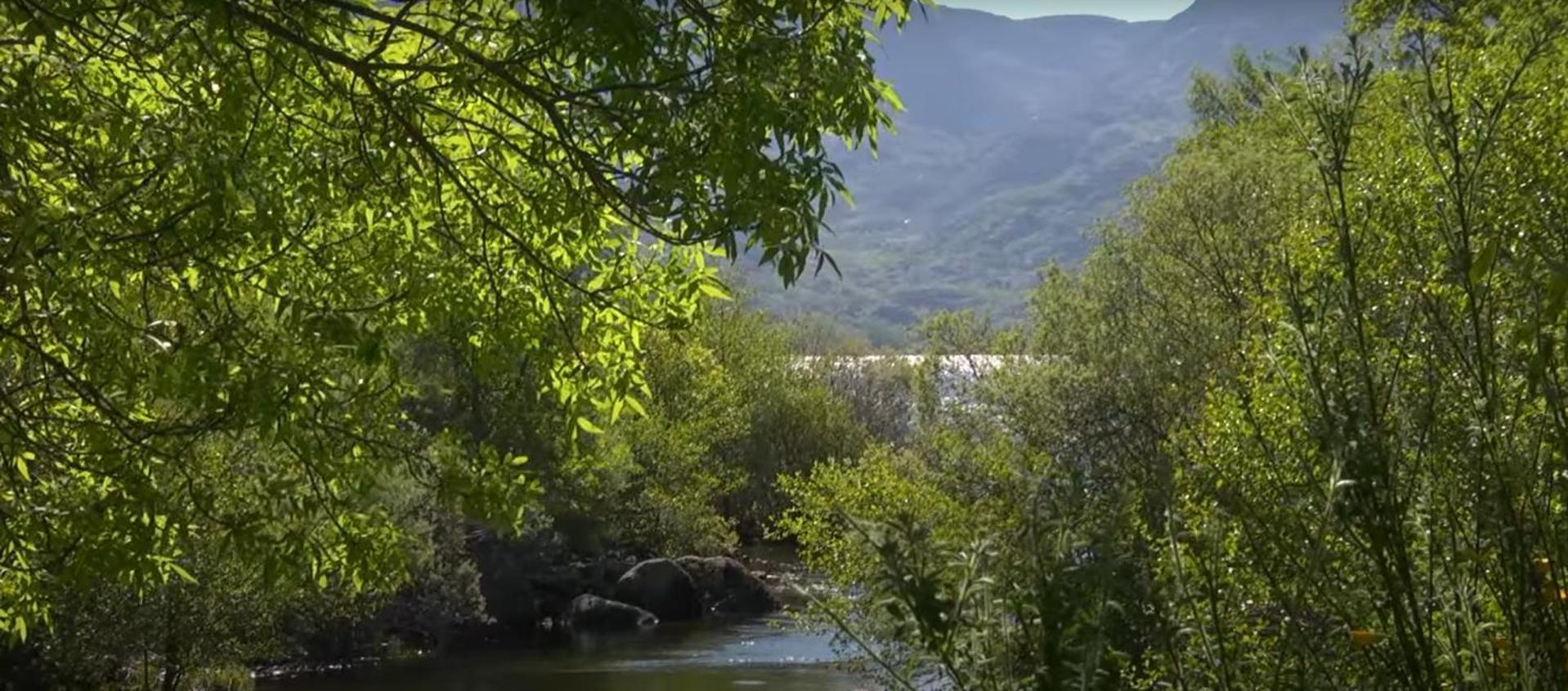 La Posada De Pedrazales Dış mekan fotoğraf